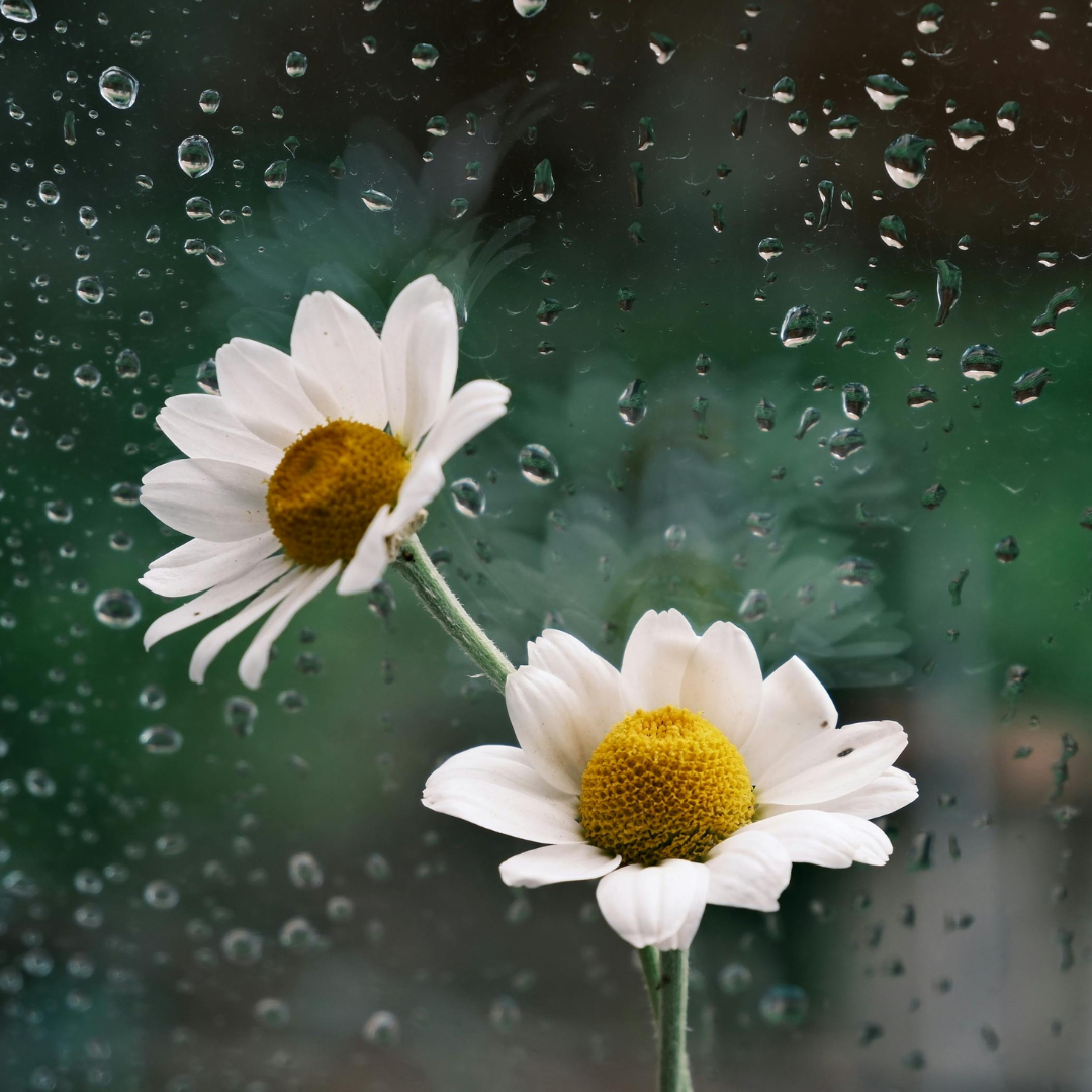 Quand le temps est gris, ta peau a besoin de réconfort