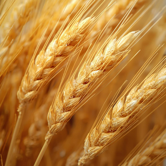 Pourquoi réduire le gluten peut améliorer la digestion ?